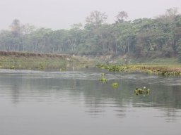 IMG_0578